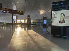 -郑州新郑国际机场-T2航站楼