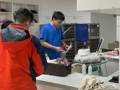 -伟伟宠物医院·瑞派猫友好医院·猫科(光谷店)