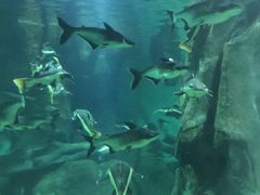 -福州罗源湾海洋世界旅游区