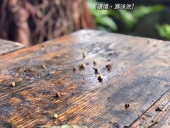 -喜洲吧·江畔老船厂·庭院餐厅(喜临院店)