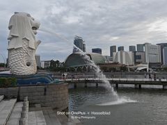 -鱼尾狮公园