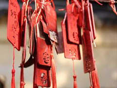 -无锡梅园公园