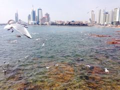 iphone_upload_pic-栈桥景区