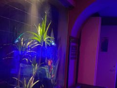-古吉拉酒吧·蒲seven蹦