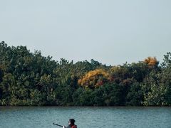 -大湾区中央湿地公园