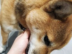 -NOTBAD 须时·咖啡馆