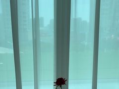 -红顶食府(滨湖九号店)