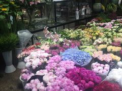 -双季花艺园艺市场(浦东店)