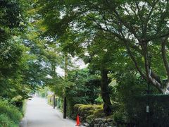 -常寂光寺