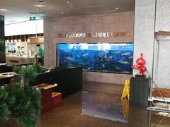 水产区-淘米捞·米汤脆鲩鱼火锅(福田皇岗店)
