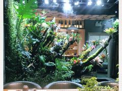 -森味薪火烧•烧鸟居酒屋•日本料理(望京店)