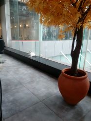 -M Hair造型