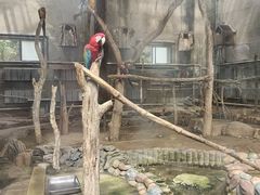 -大连森林动物园