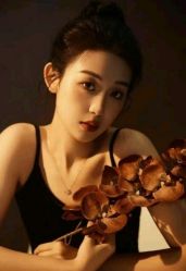 -WAVE SODA摄影工作室