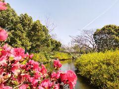 -上海滨江森林公园