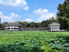 -荔湾湖公园