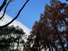 -宁波儿童公园(鄞州区)