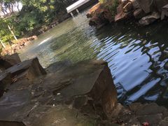 -北寺塔