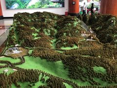 -武陵山森林公园