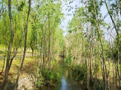 -永定河休闲森林公园