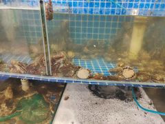 水产区-蟹谢蒸鲜自助餐厅