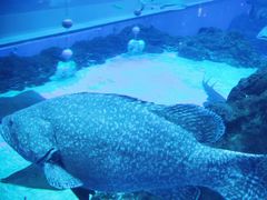 -成都浩海立方海洋公园