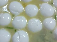 -柘林湖生态鱼馆