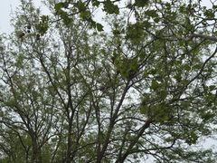 -滨河世纪广场公园