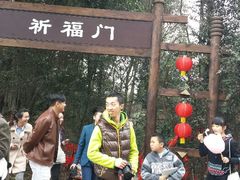 android_upload_pic-保利石象湖景区