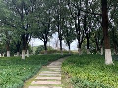 -范蠡湖公园