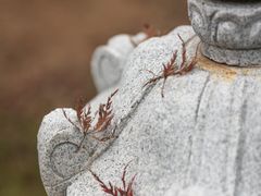 -东湖生态旅游风景区