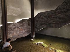 -几荷·恰似故人来(秀水广场店)