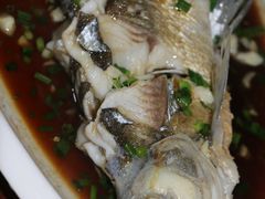 -宾湖农庄·农场特色(太湖龙之梦店)