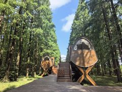 -黄海国家森林公园