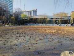 -莲湖公园