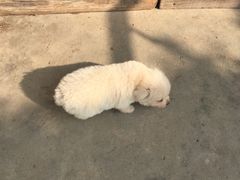 -TOUCH泰奇(南汇南门大街店)