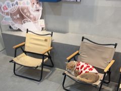 -伟伟宠物医院·CT影像中心·瑞派犬猫综合性门诊(汉口总院)