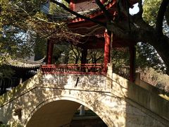 -龙潭水乡