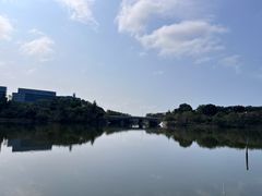 -华侨城湿地公园