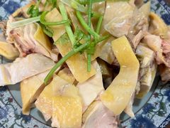 -九斤黄三黄鸡专卖店