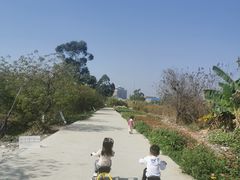 -新塘水果乐园(东洲大道店)