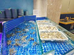 -锤头鲨毛肚海鲜烤肉自助餐厅(国购广场店)