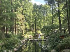 -上海共青森林公园