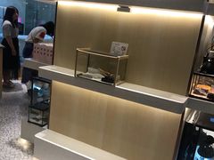 -momokira米努特·德文卷毛猫·棉花面纱犬