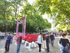 -人民公园-相亲角