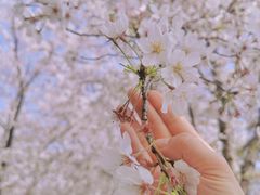 -龙美术馆(西岸馆)