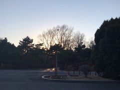 -北陵公园
