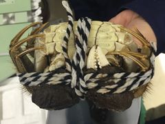 -喜洋洋蟹庄(阳澄湖店)