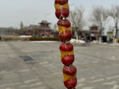 -天津妈祖文化园