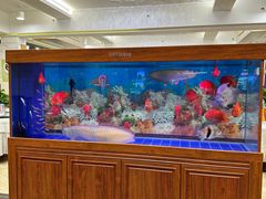 -明香海鲜酒家(华强北店)